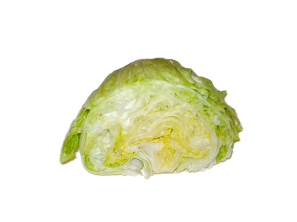 Iceberg lettuce